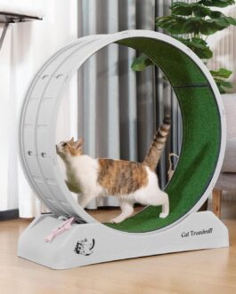 Large Cat Treadmill, Cat Exercise Wheel with Locking Mechanism Nonslip Carpet